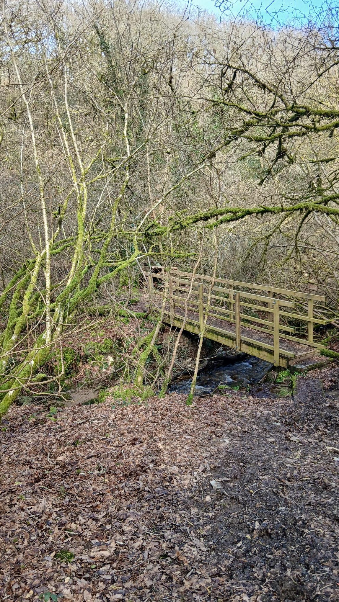 Bridge - Llandilo